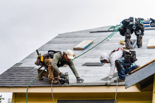Professional Roofing technician working in Leck Kill, PA