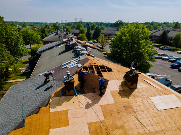 Trusted Storm Damage Roof Repair service in Leck Kill, PA - Brentwood Metal Roofing